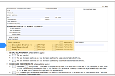 Caption of form FL-100