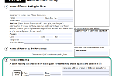 DV-109 form with section 3 highlighted