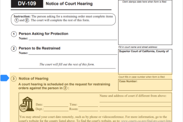 Form DV-109 Court Date Highlighted